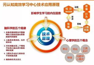 让每一个孩子都向阳成长——记修远中学心理健康教育在学校教育管理中的探索之路